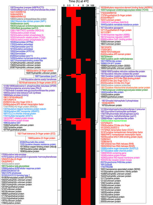 Figure 9.