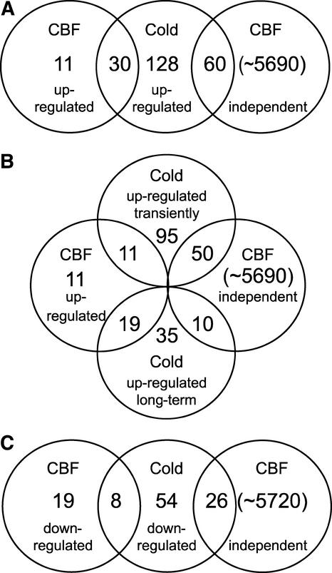 Figure 10.