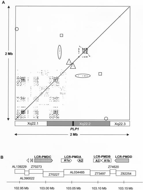 Figure  7