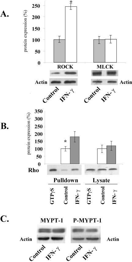 Figure 10.
