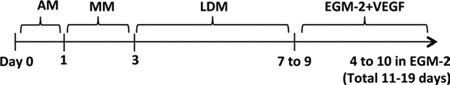 graphic file with name nihms421711t1.jpg